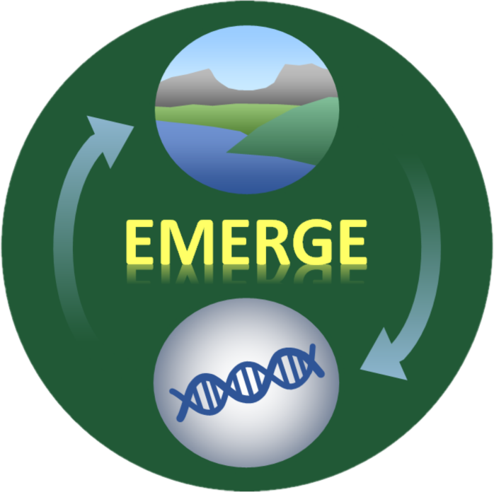 EMERGE logo showing a cycle between genetics and the environment