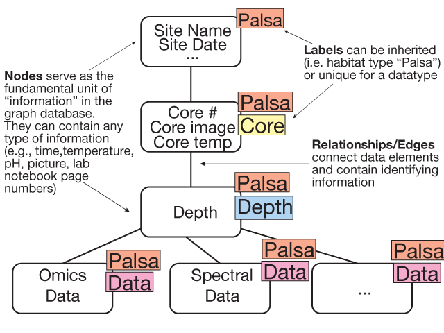 Preview of graph structure of database