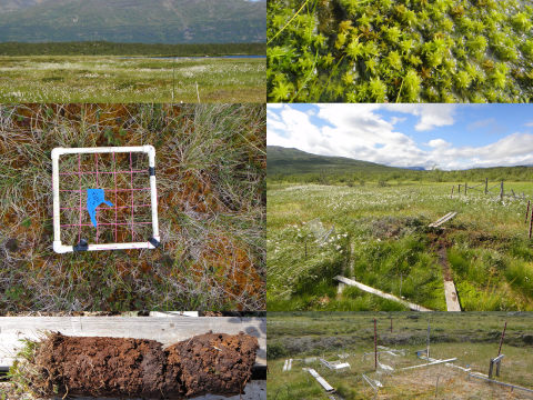 Tiled grid of various site photograph thumnails