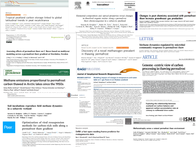 Collage of many published papers